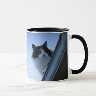 Calico Roof Cat with Irish Proverb Mug