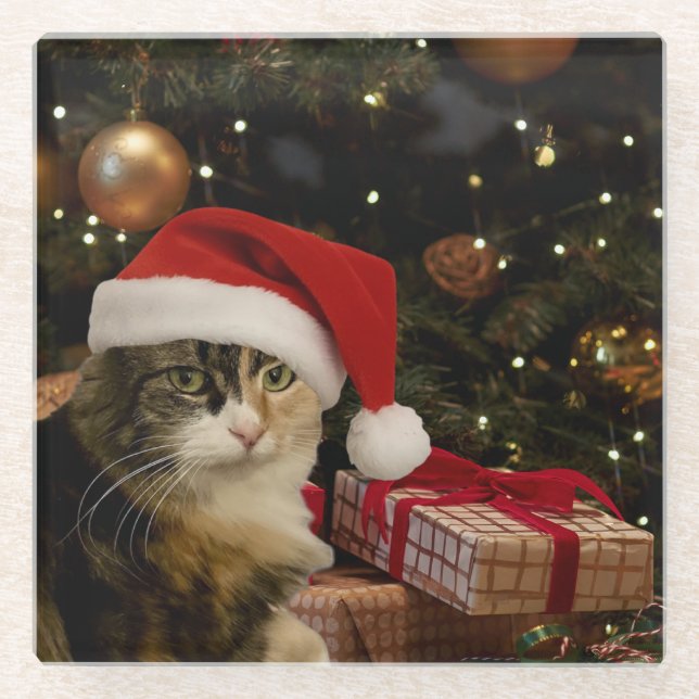 Calico Santa Kitty Glass Coaster (Front)