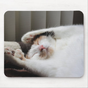 Calico sleeping in the sun mousepad
