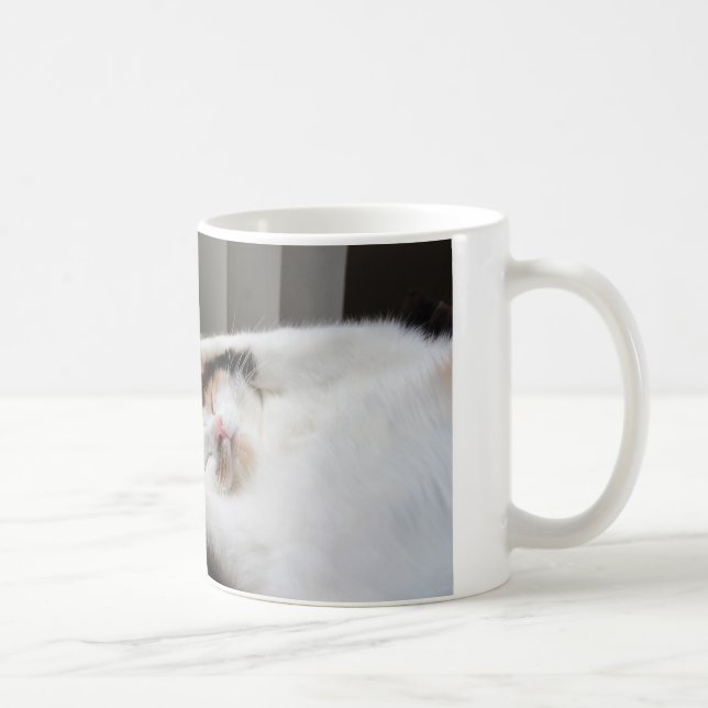 Calico sleeping in the sun mug (Right)