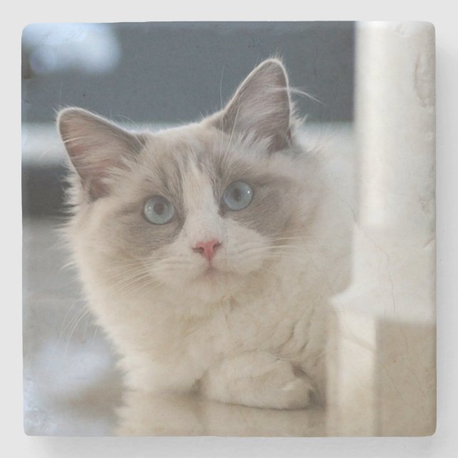 Calico Stone Coaster (Front)