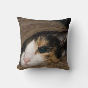 Calico Taco Cushion