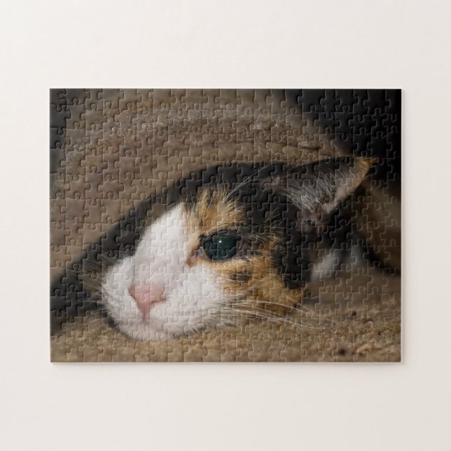 Calico Taco Jigsaw Puzzle (Horizontal)