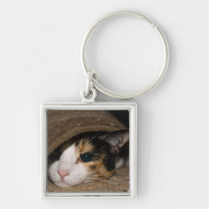 Calico Taco Key Ring