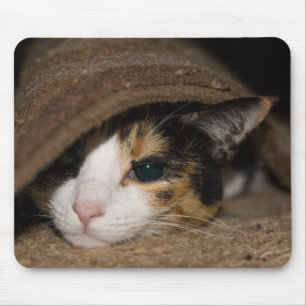 Calico Taco Mouse Mat