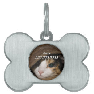 Calico Taco Pet Tag