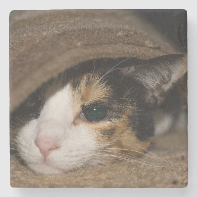 Calico Taco Stone Coaster (Front)