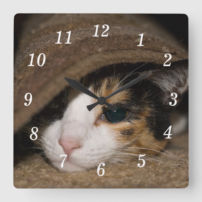 Calico Taco Wall Clock (Front)