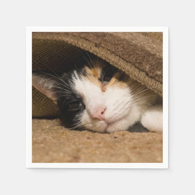 Calico Under The Rug Napkin (Front)