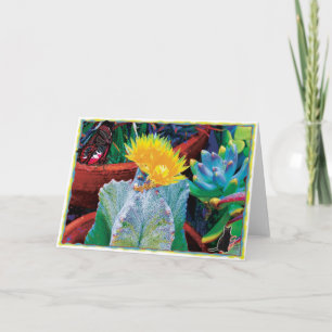 Caliente Cactus Card