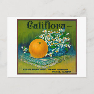 Califlora Orange LabelRiverside, CA Postcard