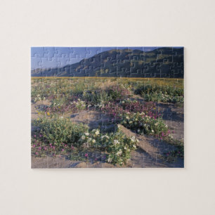 Califorinia, Anza-Borrego Desert SP, Sand Jigsaw Puzzle