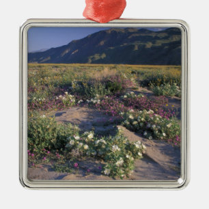 Califorinia, Anza-Borrego Desert SP, Sand Metal Tree Decoration