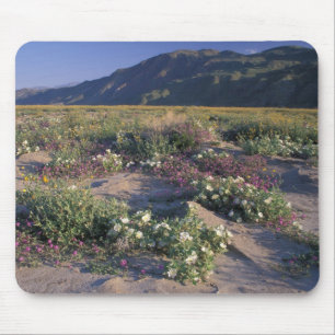 Califorinia, Anza-Borrego Desert SP, Sand Mouse Mat
