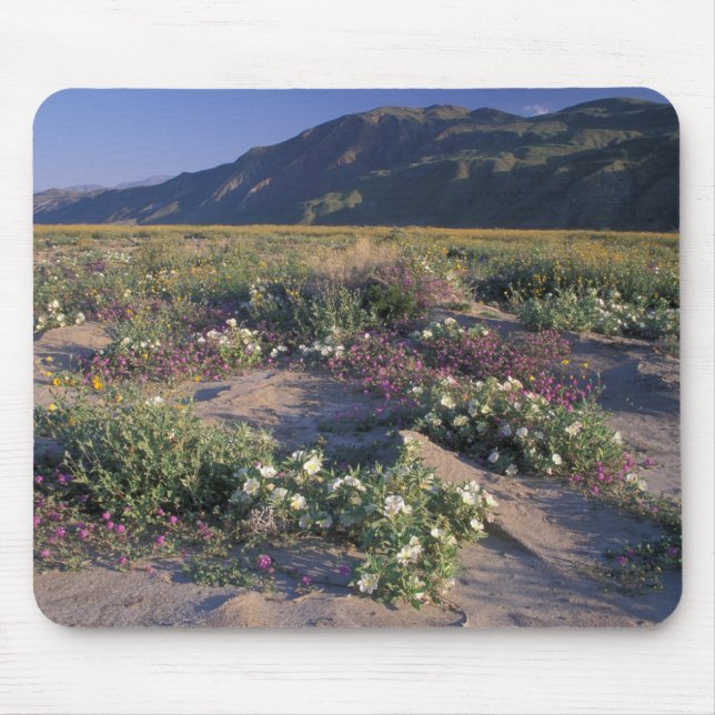 Califorinia, Anza-Borrego Desert SP, Sand Mouse Mat (Front)
