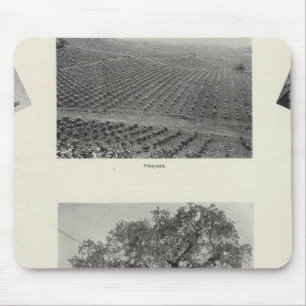 California 4 mouse mat