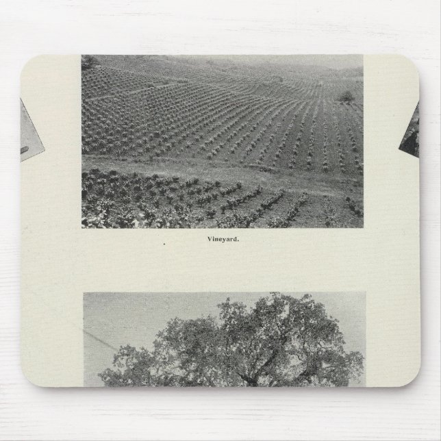 California 4 mouse mat (Front)