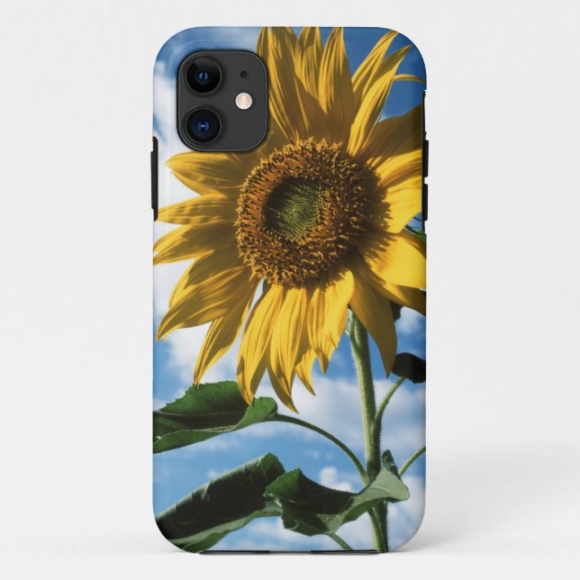 California, A Mammoth Sunflower (Helianthus) 2 Case-Mate iPhone Case (Back)