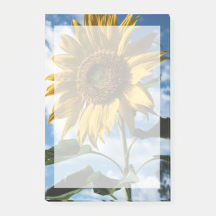 California, A Mammoth Sunflower (Helianthus) 2 Post-it Notes