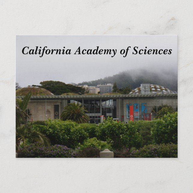 California Academy of Sciences #2 Postcard (Front)
