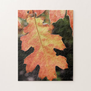 California, An autumn coloured Oak leaf Jigsaw Puzzle