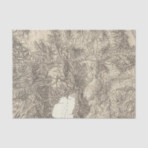 California and Nevada Tissue Paper