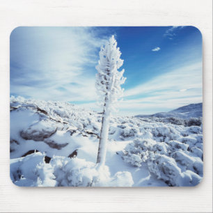 California, Anza Borrego Desert State Park 2 Mouse Mat