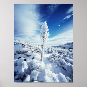 California, Anza Borrego Desert State Park 2 Poster