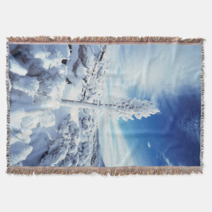 California, Anza Borrego Desert State Park 2 Throw Blanket