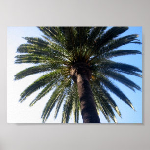 California Beach Palm Tree Custom Poster Art Print