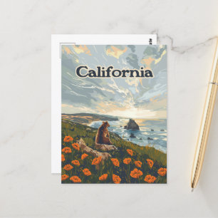 California Bear Poppies Flowers Coast Retro Postcard
