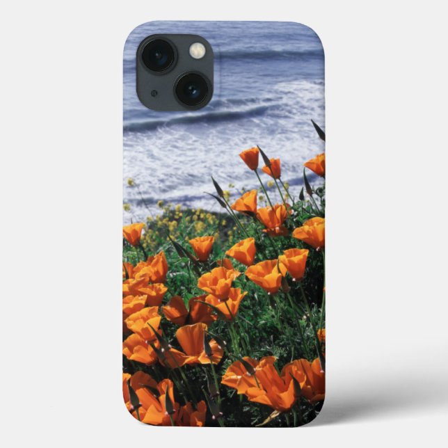 California, Big Sur Coast, California Poppy Case-Mate iPhone Case (Back)
