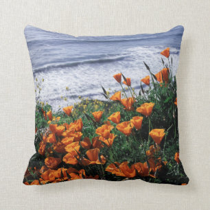 California, Big Sur Coast, California Poppy Cushion