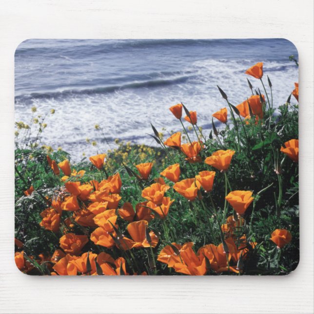 California, Big Sur Coast, California Poppy Mouse Mat (Front)