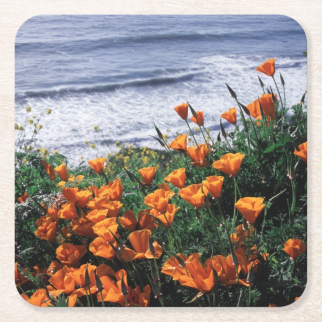 California, Big Sur Coast, California Poppy Square Paper Coaster (Front)