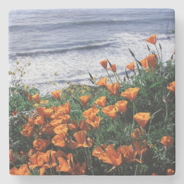California, Big Sur Coast, California Poppy Stone Coaster (Front)