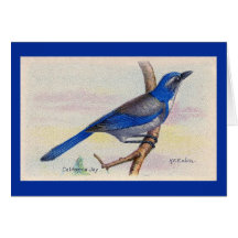 California Blue Jay Bird Thank You Card