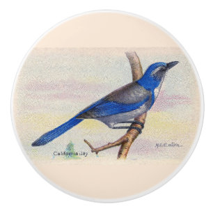 California Blue Jay Knob