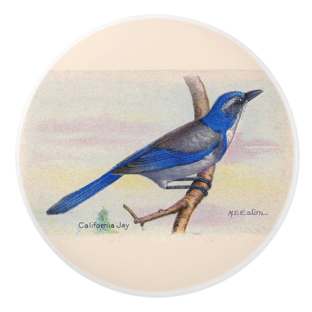 California Blue Jay Knob (Front)
