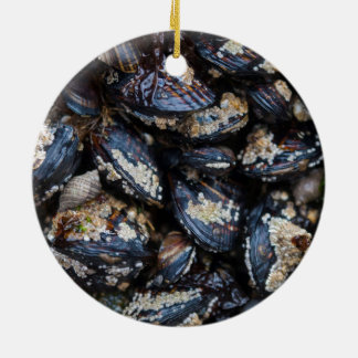 California Blue Mussels growing on rock in Bandon Ceramic Tree Decoration