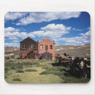 California, Bodie State Historic Park, An old Mouse Mat