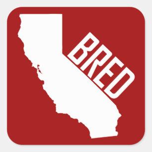 California Bred Square Sticker