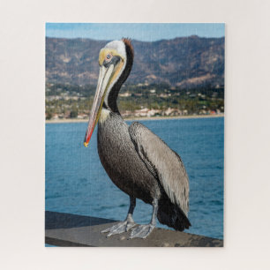 California Brown Pelican Portrait Jigsaw Puzzle