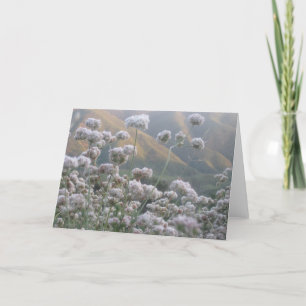 California Buckwheat Card