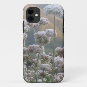 California Buckwheat iPhone 11 Case