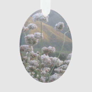 California Buckwheat Ornament