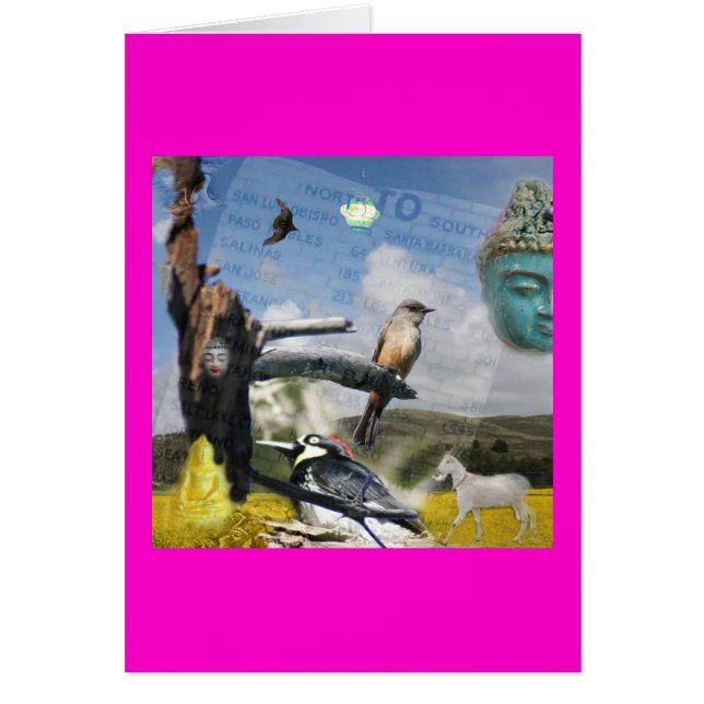 California Buddha (Front)