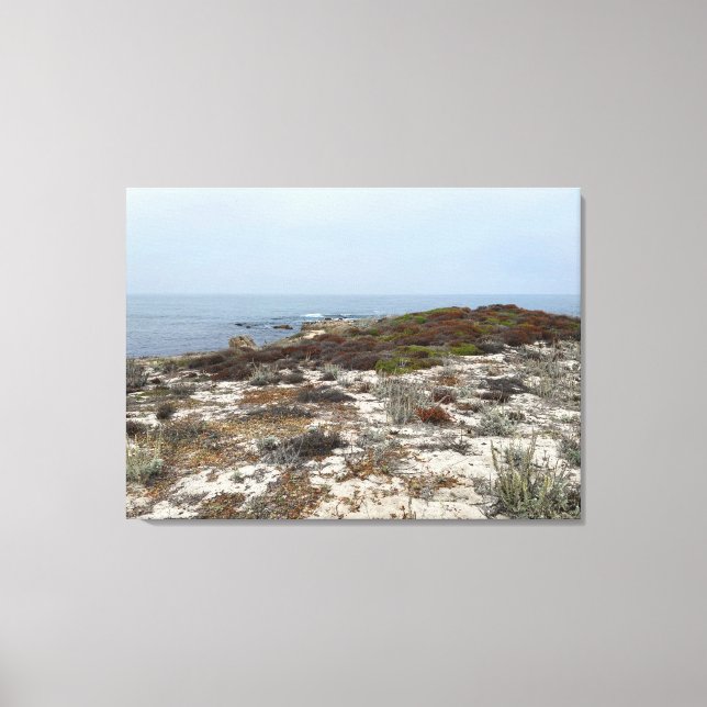 California Canvas: Asilomar Canvas Print (Front)