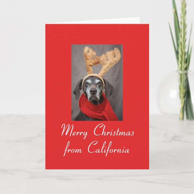 California  Christmas Card, state specific Holiday Card (Front)