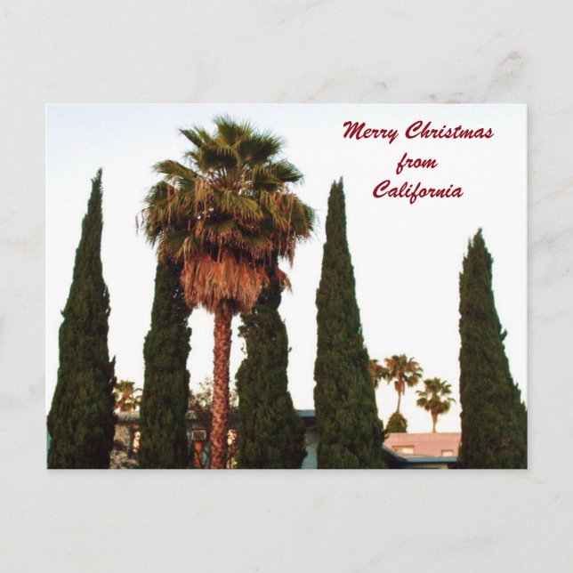 CALIFORNIA CHRISTMAS GREETING postcard (Front)